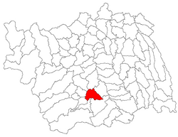 Onesti jud Bacau